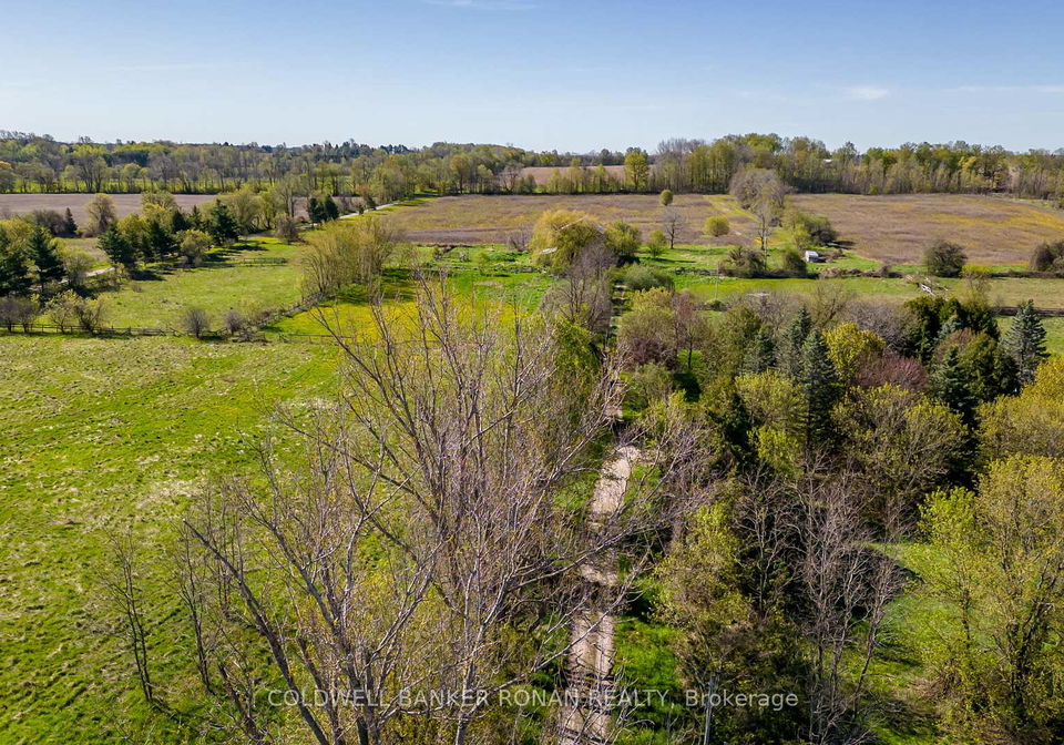 8689-county-road-1-na-adjala-tosorontio-ontario-n12298304