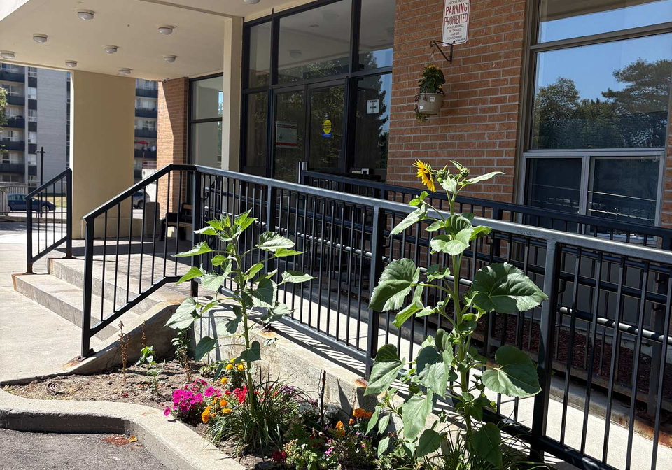 180-dudley-avenue-markham-ontario-n12310778
