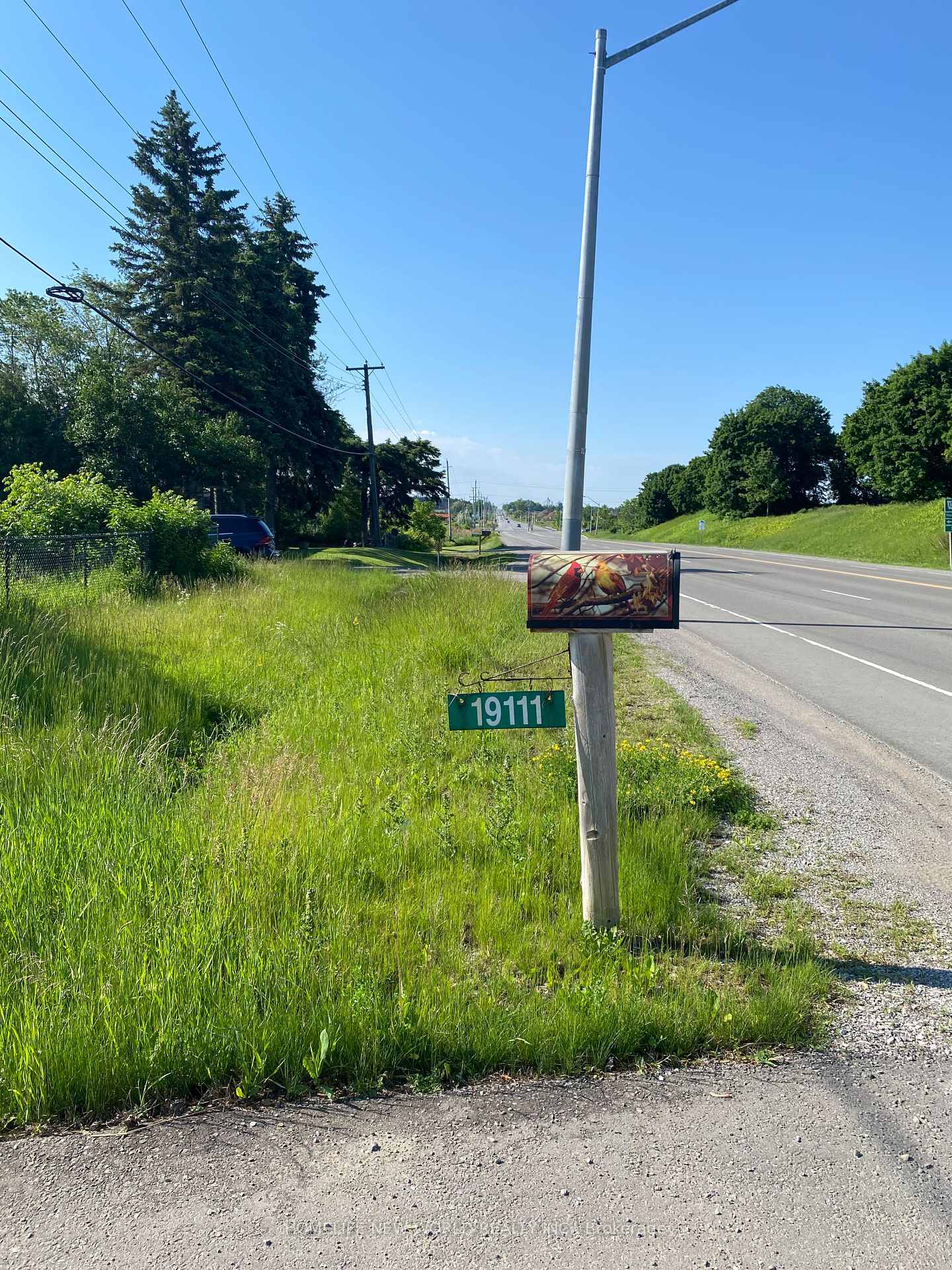 19111-woodbine-avenue-east-gwillimbury-ontario-n12322484