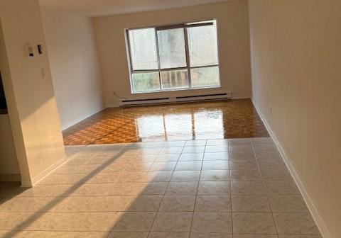 72-lake-avenue-richmond-hill-ontario-n12333545