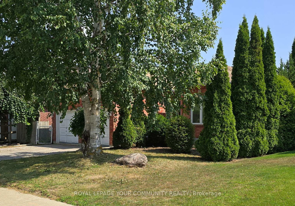 101-banting-drive-new-tecumseth-ontario-n12334656