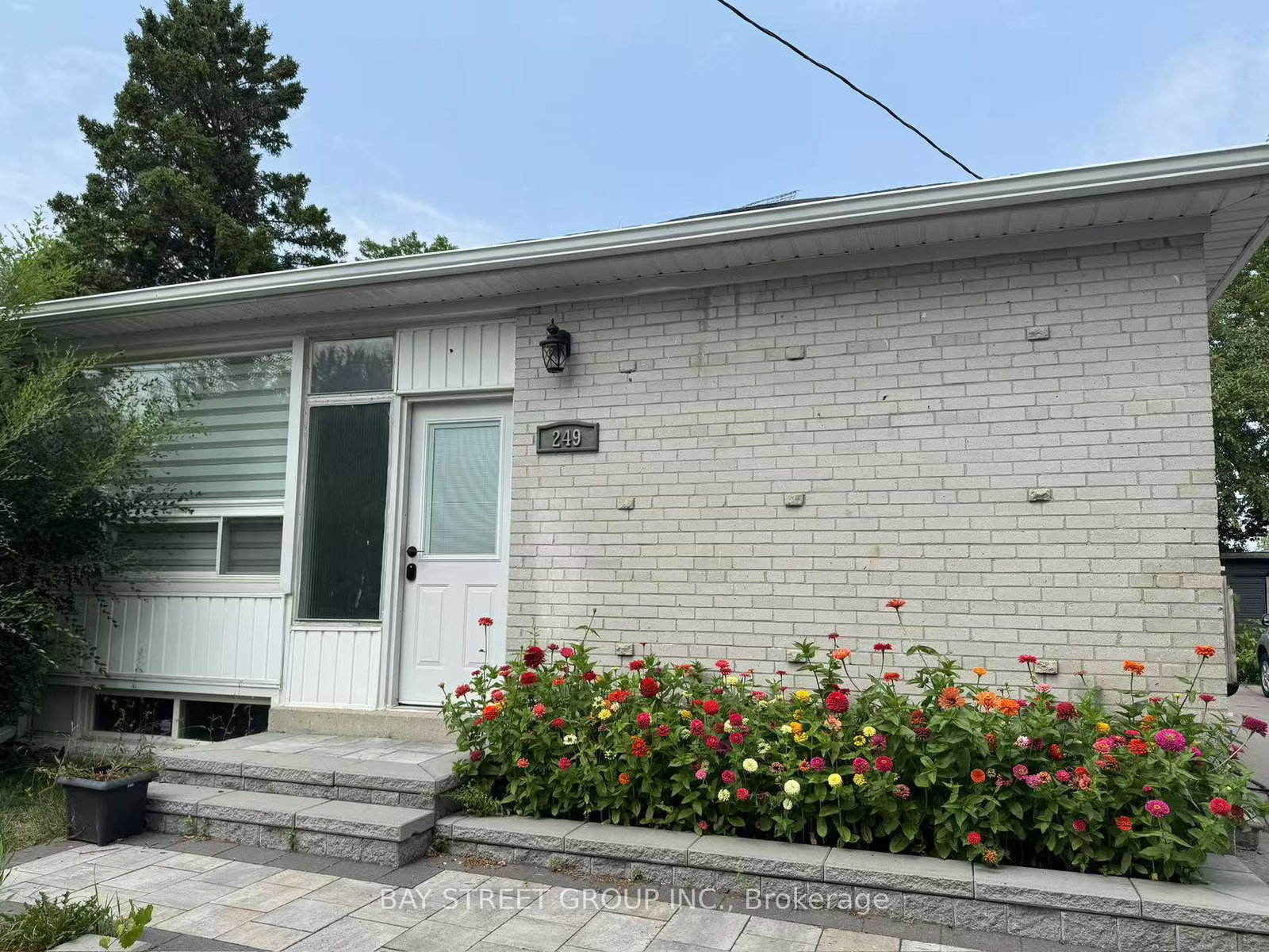 249-ashlar-road-richmond-hill-ontario-n12334899