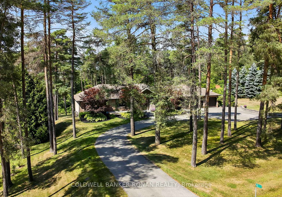 6-pyne-hills-court-new-tecumseth-ontario-n12342671