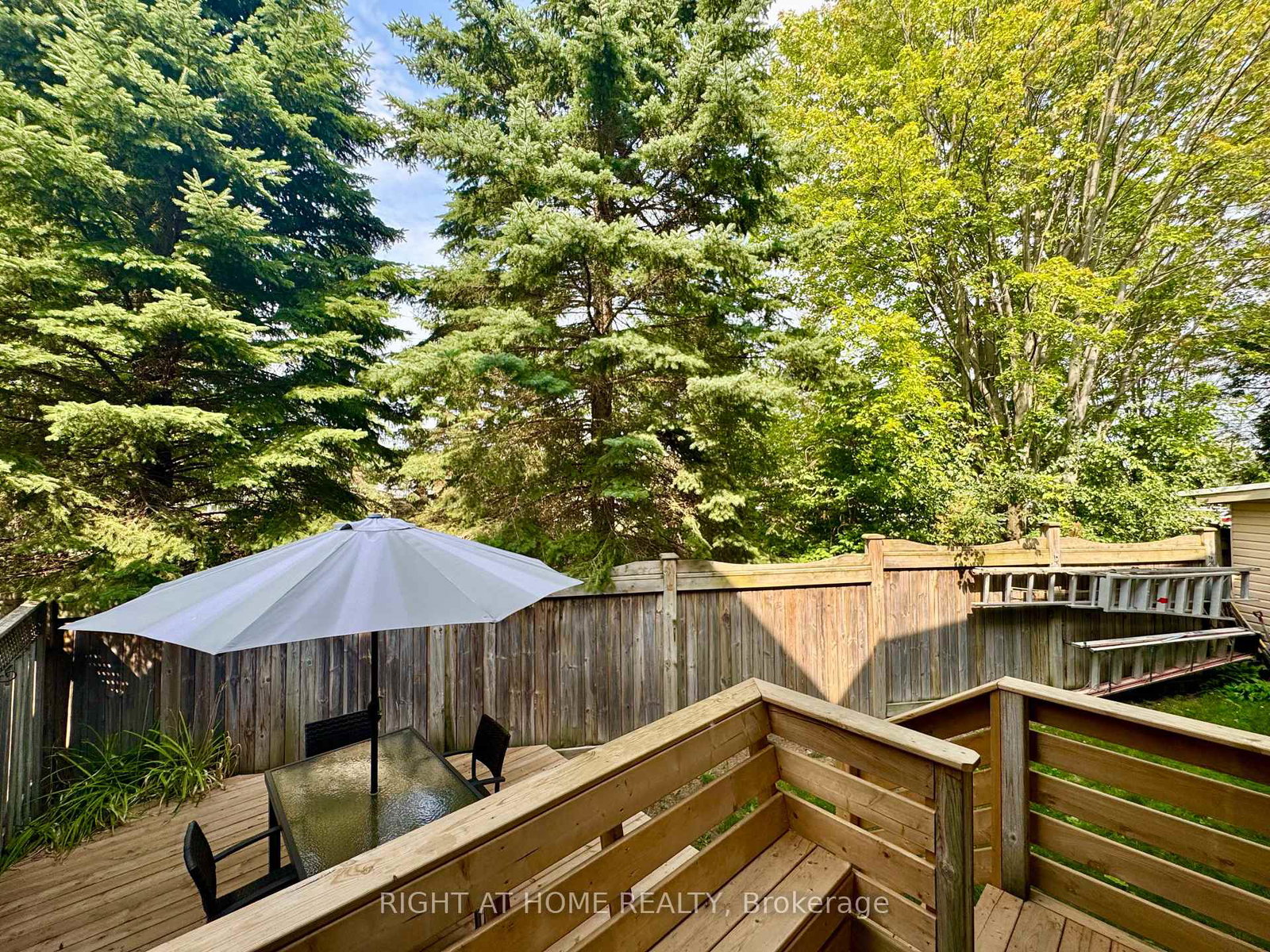 359-riddell-court-newmarket-ontario-n12344479