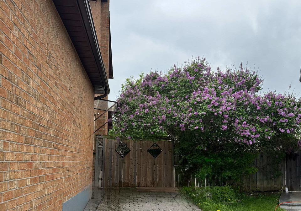 10-pagehurst-court-richmond-hill-ontario-n12344887