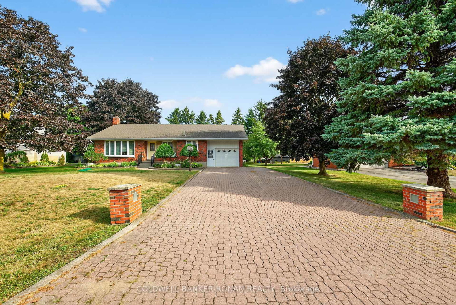 8-douglas-drive-new-tecumseth-ontario-n12350600