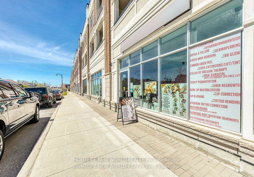 29-luzon-avenue-markham-ontario-n12356250