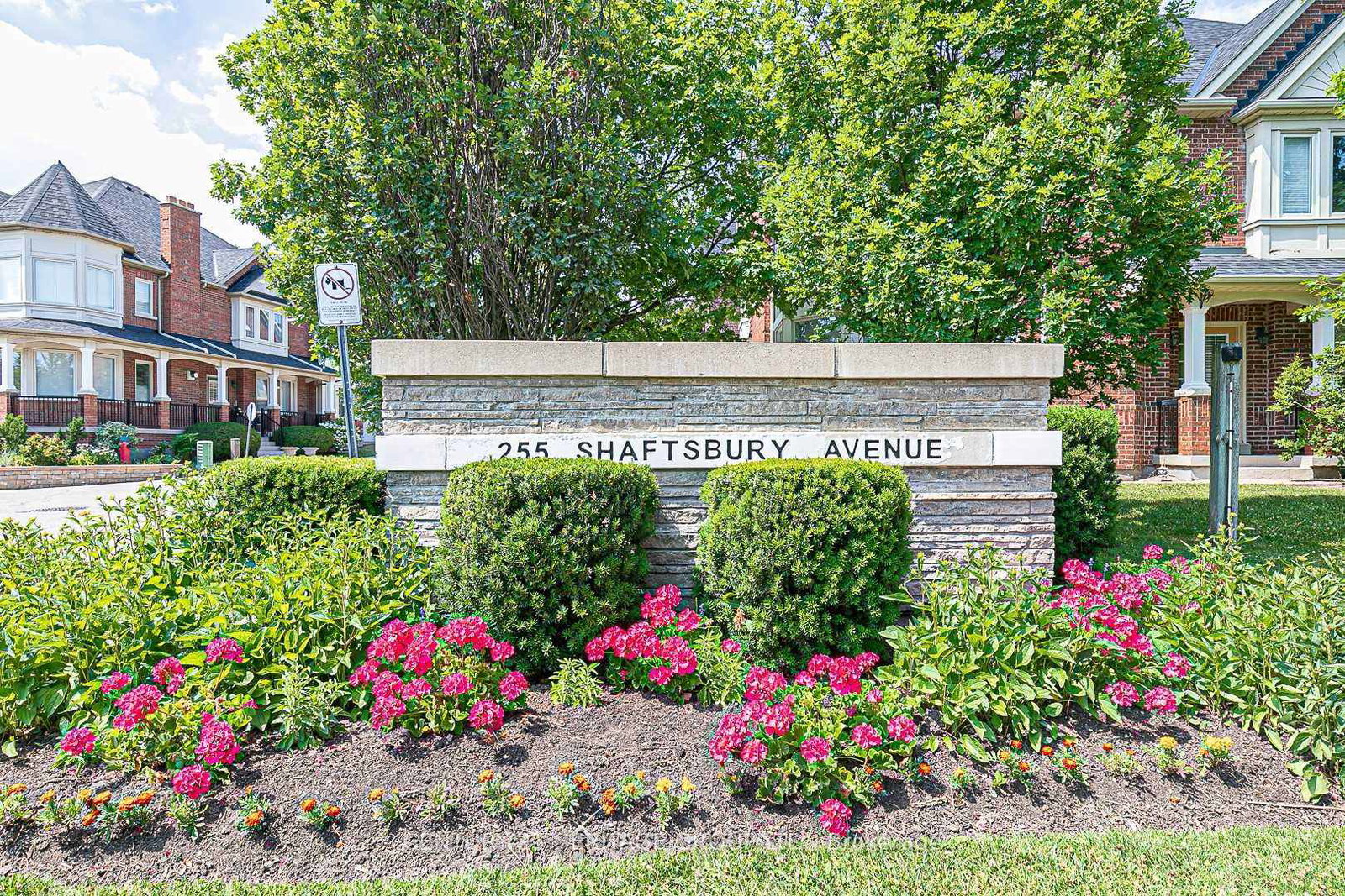 255-shaftsbury-avenue-richmond-hill-ontario-n12359443