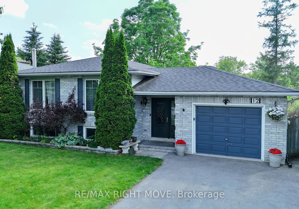 12-hawkins-street-georgina-ontario-n12361274