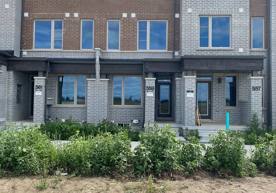 559-vine-cliff-boulevard-markham-ontario-n12363843