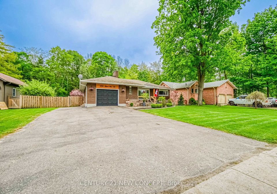 5531-black-river-road-georgina-ontario-n12375867
