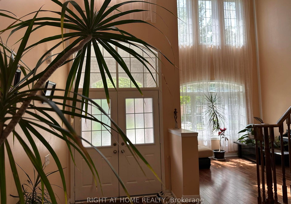 357-dowson-loop-newmarket-ontario-n12376032