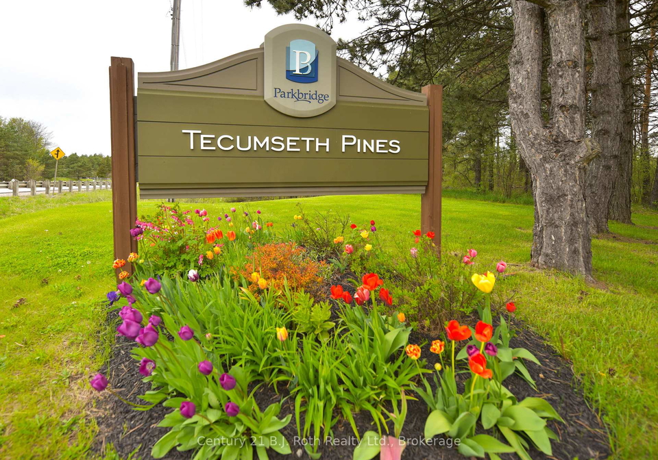 56-tecumseth-pines-drive-new-tecumseth-ontario-n12377199