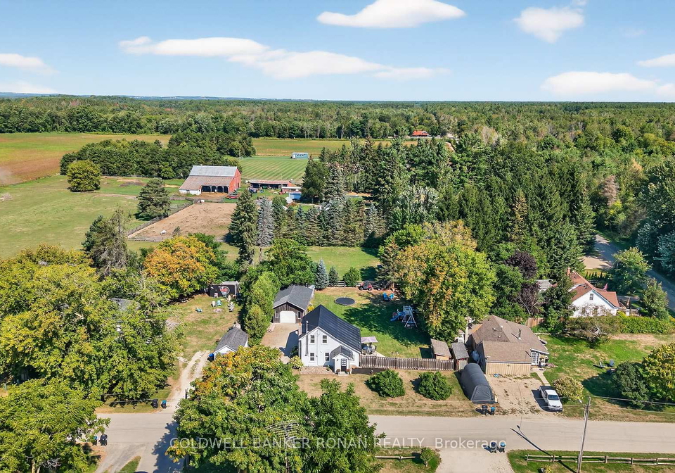 14-centre-street-adjala-tosorontio-ontario-n12384274