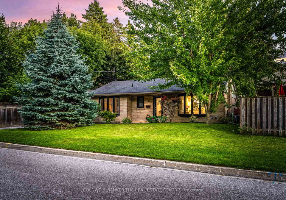 272-avenue-road-newmarket-ontario-n12385186