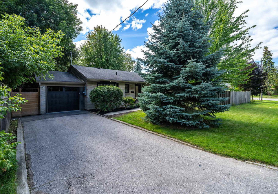 272-avenue-road-newmarket-ontario-n12385186