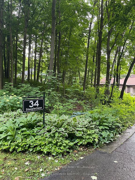 34-steeplechase-avenue-aurora-ontario-n12385910