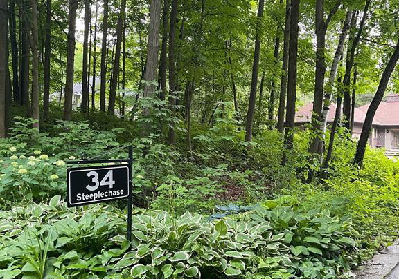 34-steeplechase-avenue-aurora-ontario-n12385910