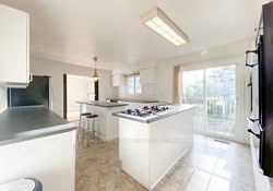 11951-yonge-street-richmond-hill-ontario-n12387614