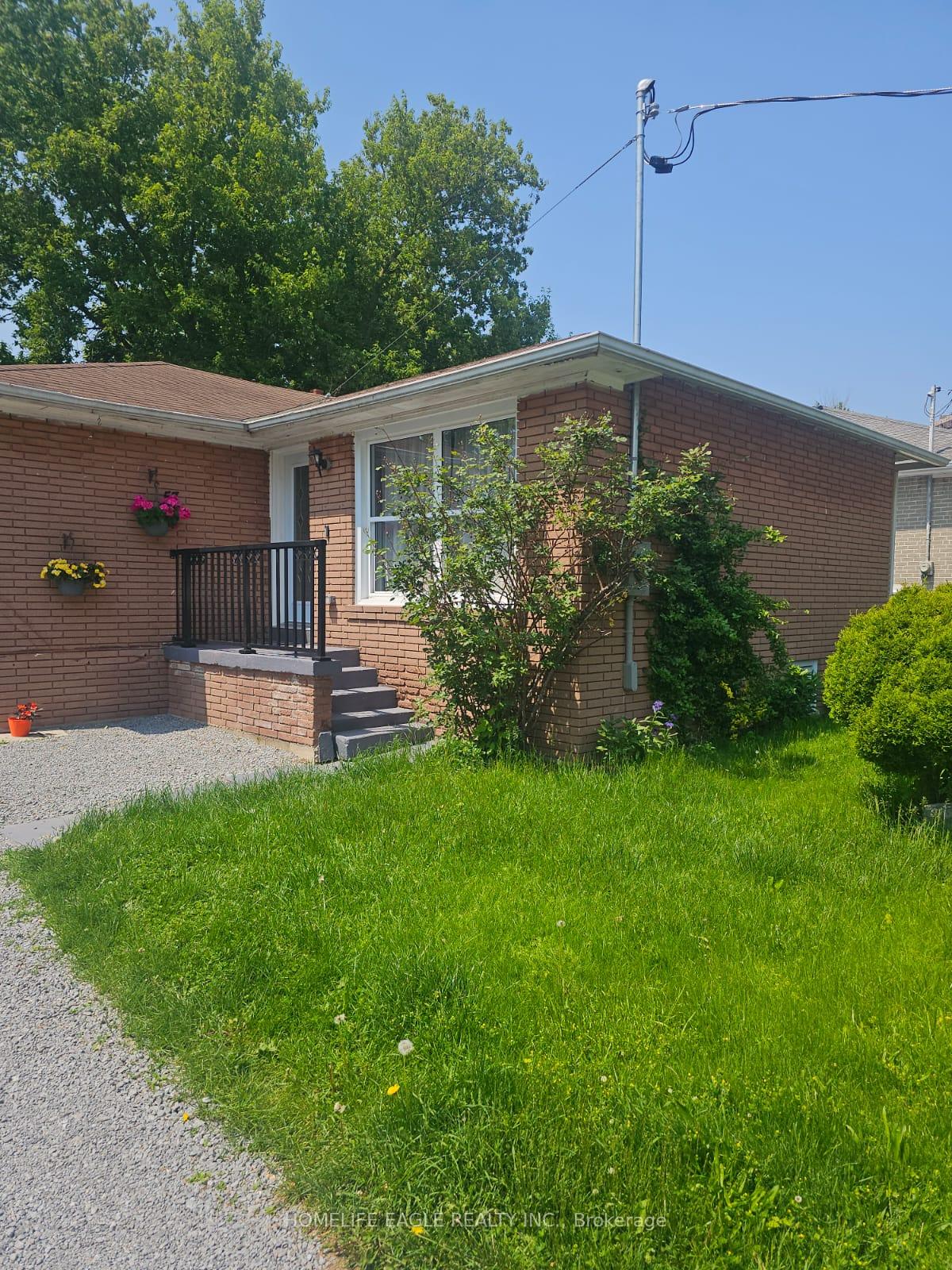 57-walter-avenue-newmarket-ontario-n12388046