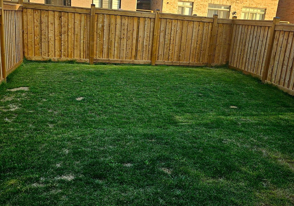 53-ferragine-crescent-bradford-west-gwillimbury-ontario-n12392838