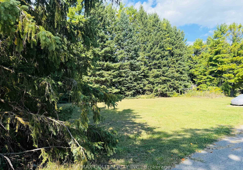 1209-20th-side-road-new-tecumseth-ontario-n12397736