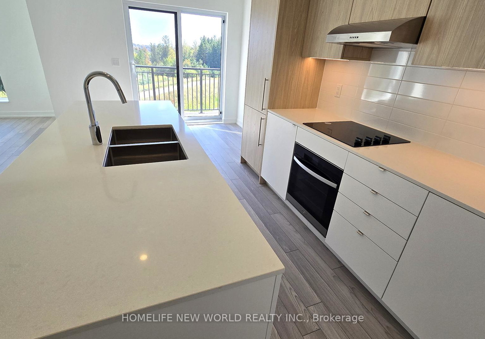 11-walder-lane-richmond-hill-ontario-n12398619
