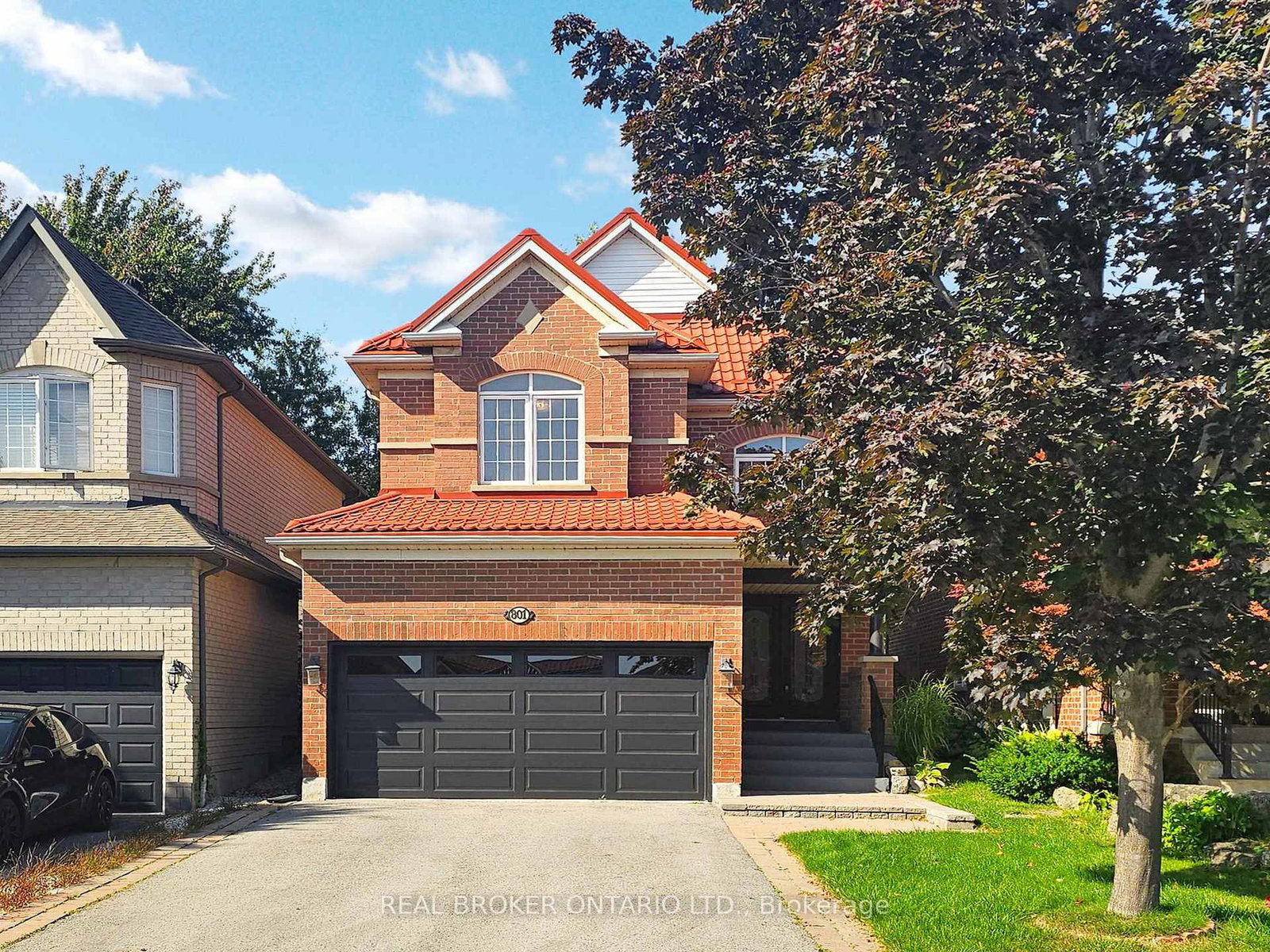801-colter-street-newmarket-ontario-n12406140