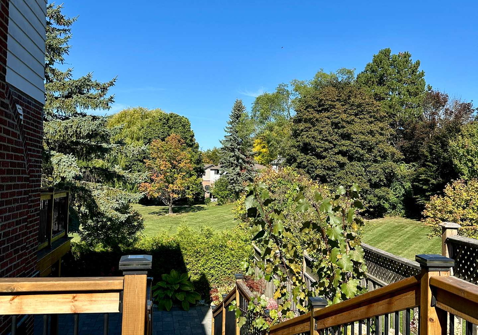 57-thorny-brae-basement-drive-markham-ontario-n12416419