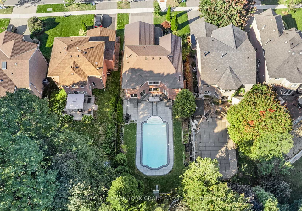 264-mccaffrey-road-newmarket-ontario-n12419908