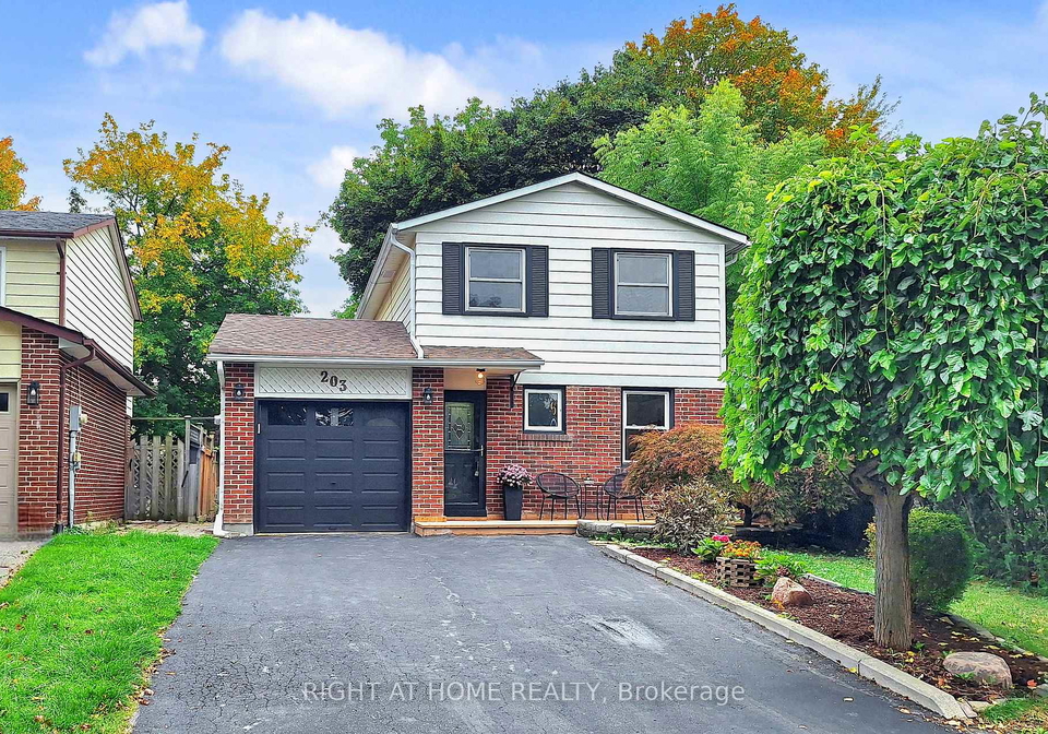 203-thoms-crescent-newmarket-ontario-n12424979