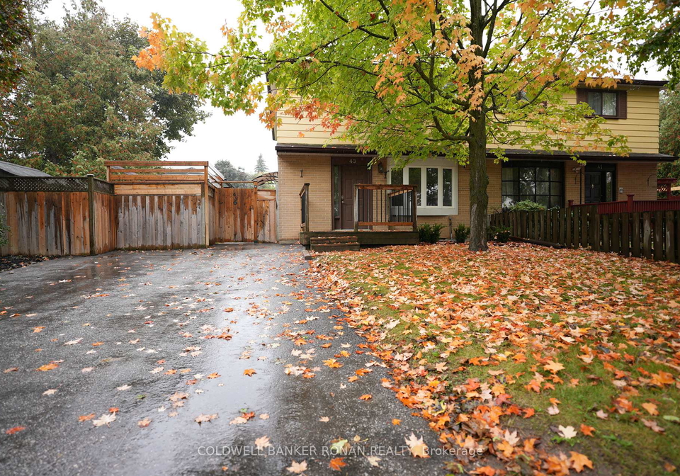 43-adeline-avenue-new-tecumseth-ontario-n12428375
