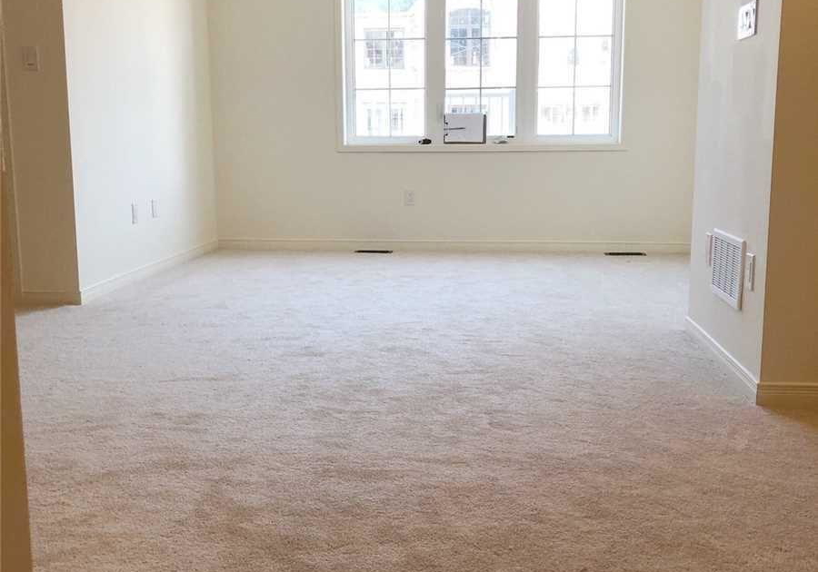 28-mcgrath-avenue-richmond-hill-ontario-n12428953