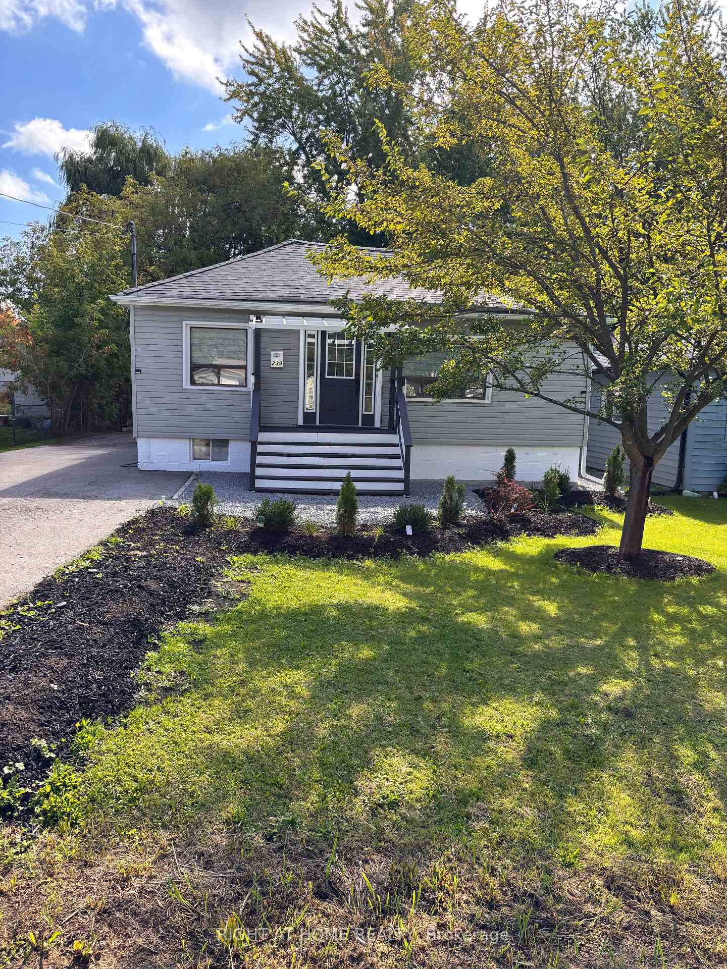 239-royal-road-georgina-ontario-n12430892