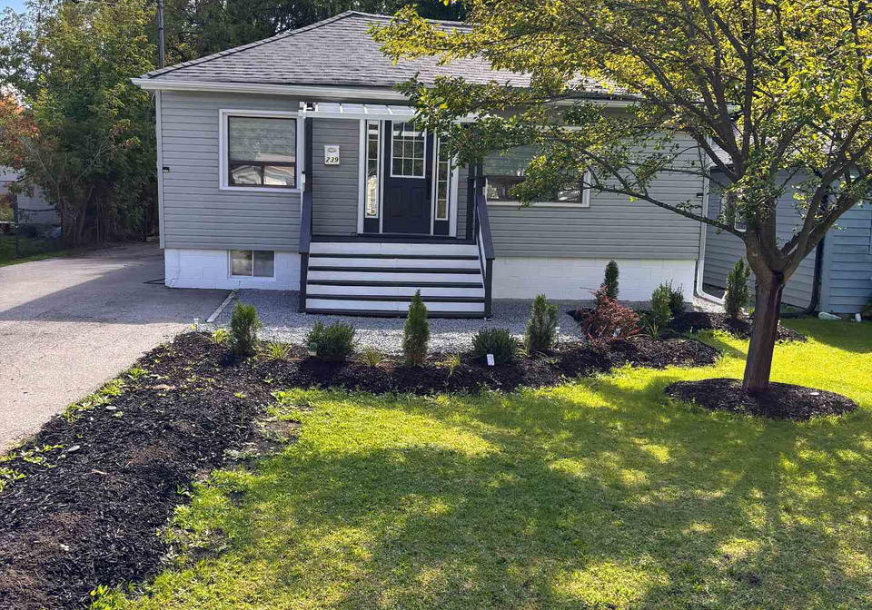 239-royal-road-georgina-ontario-n12430892