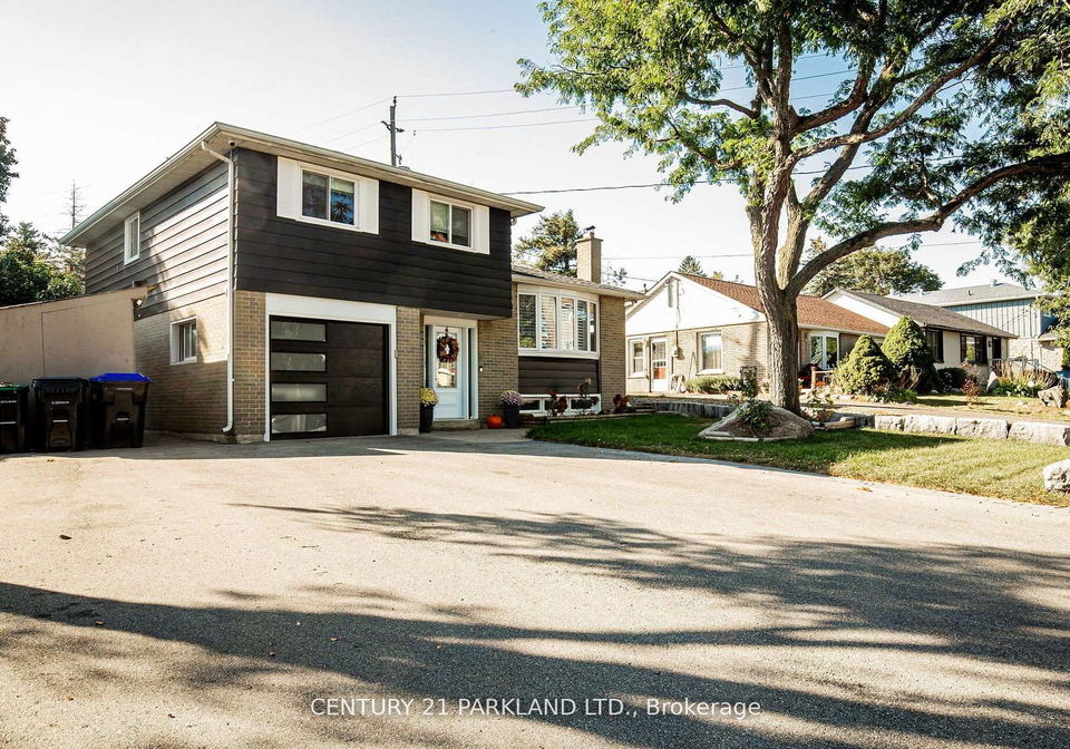 7-brown-street-new-tecumseth-ontario-n12444533