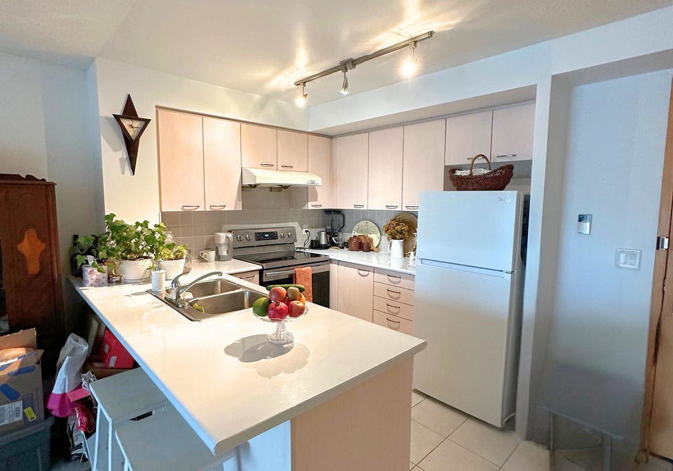 62-suncrest-boulevard-markham-ontario-n12445877