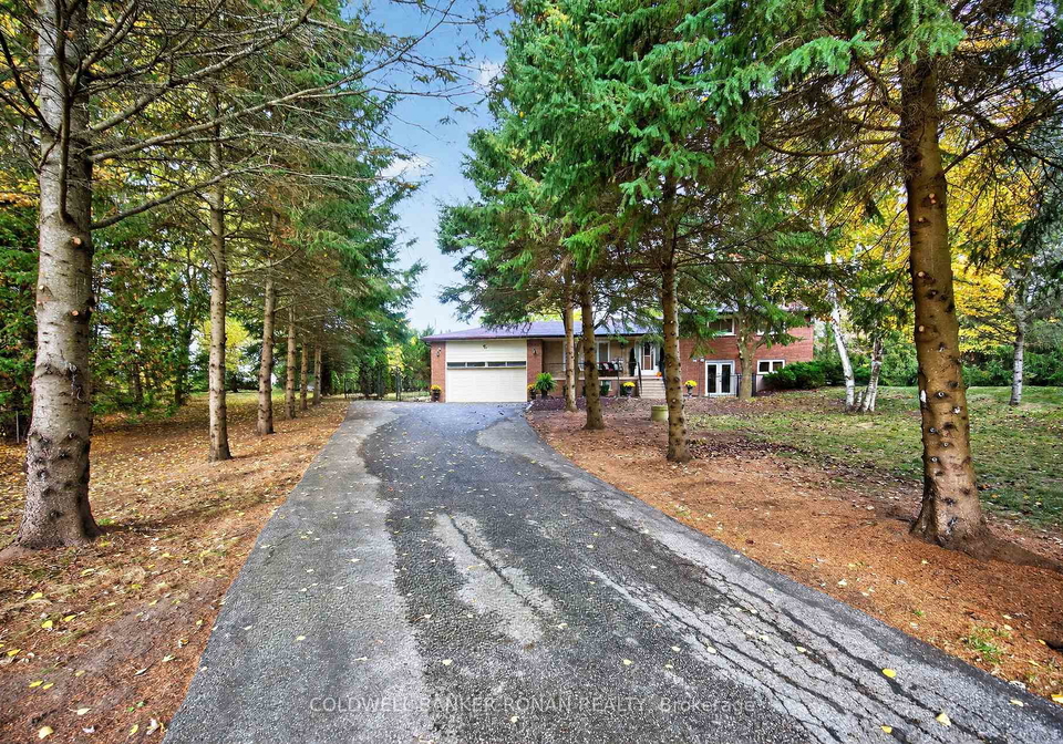 2738-concession-road-4-adjala-tosorontio-ontario-n12487331