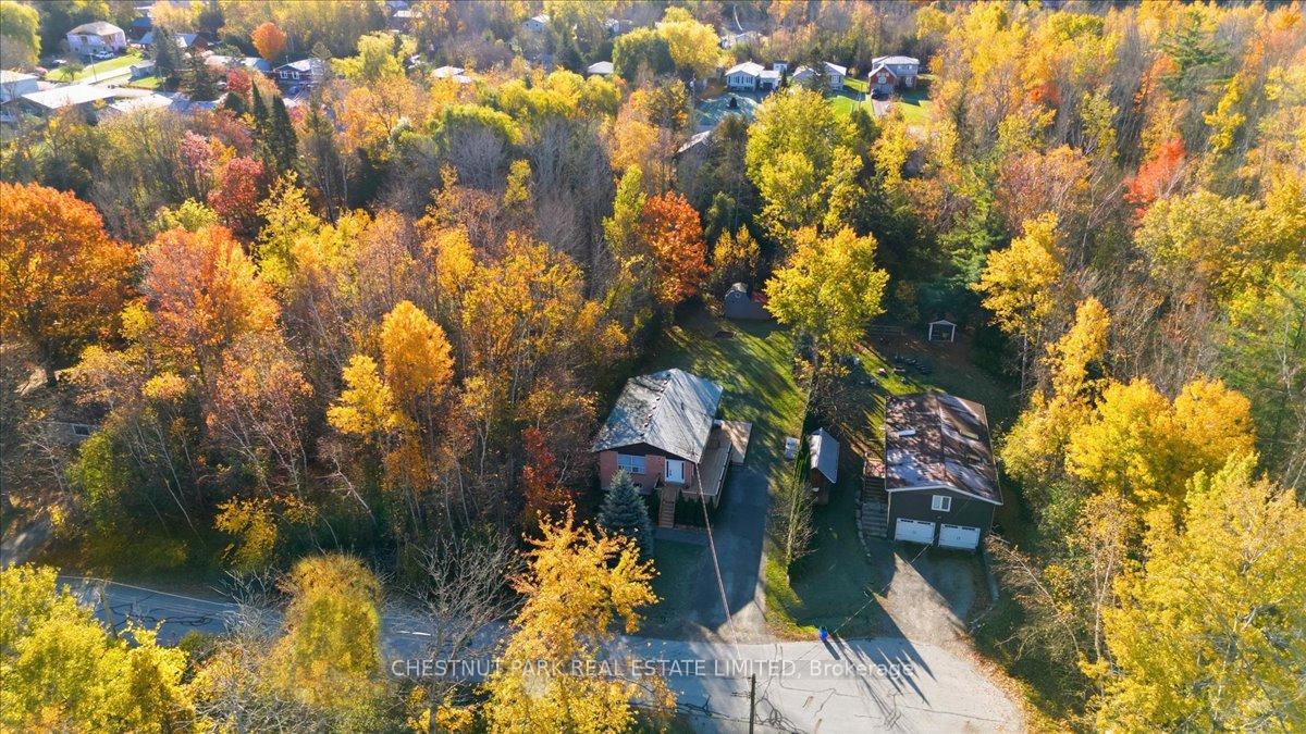 49-sandra-drive-georgina-ontario-n12489180