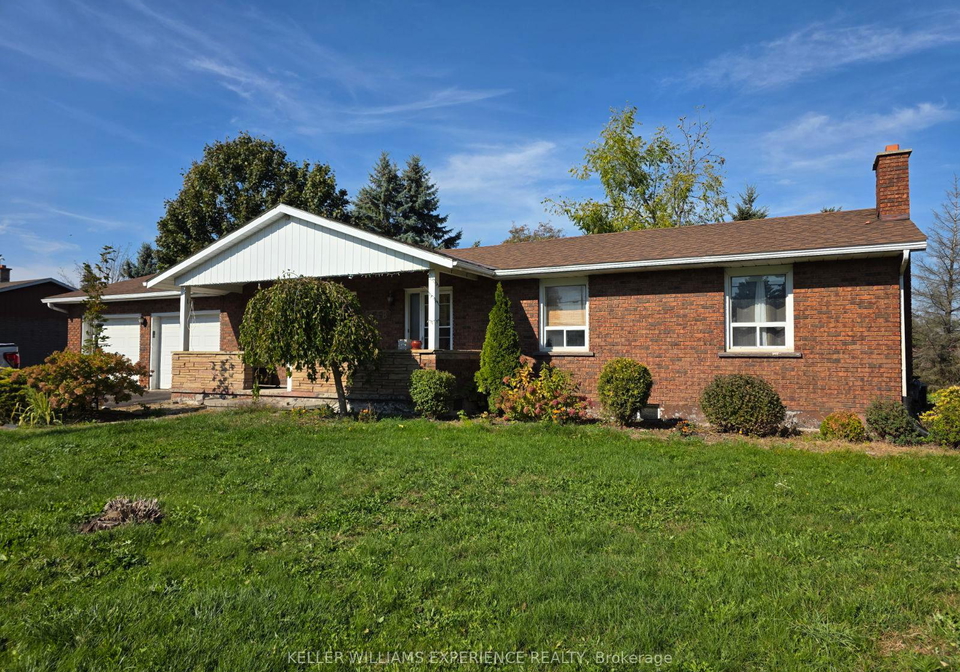 248-young-street-new-tecumseth-ontario-n12490368