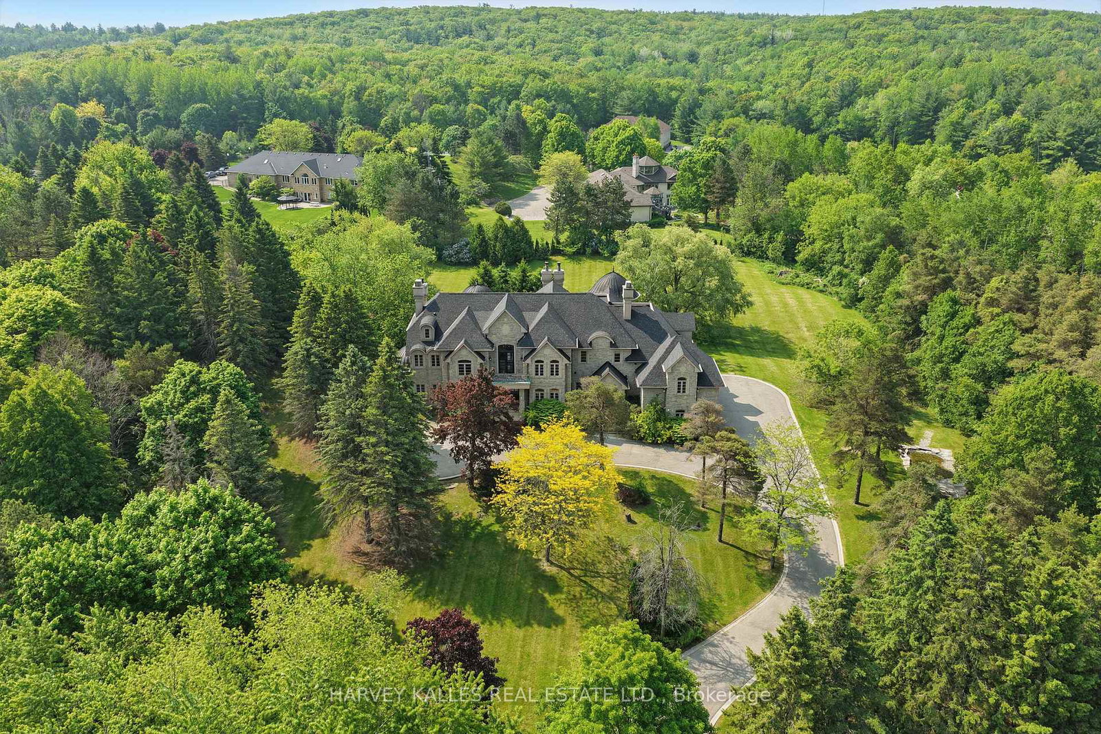 443-dearbourne-avenue-king-ontario-n12490732