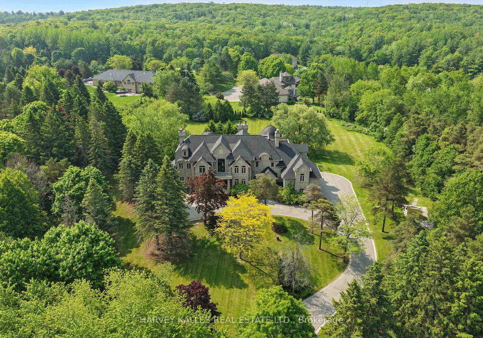 443-dearbourne-avenue-king-ontario-n12490732