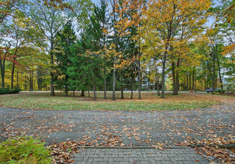 124-forest-ridge-road-richmond-hill-ontario-n12491750