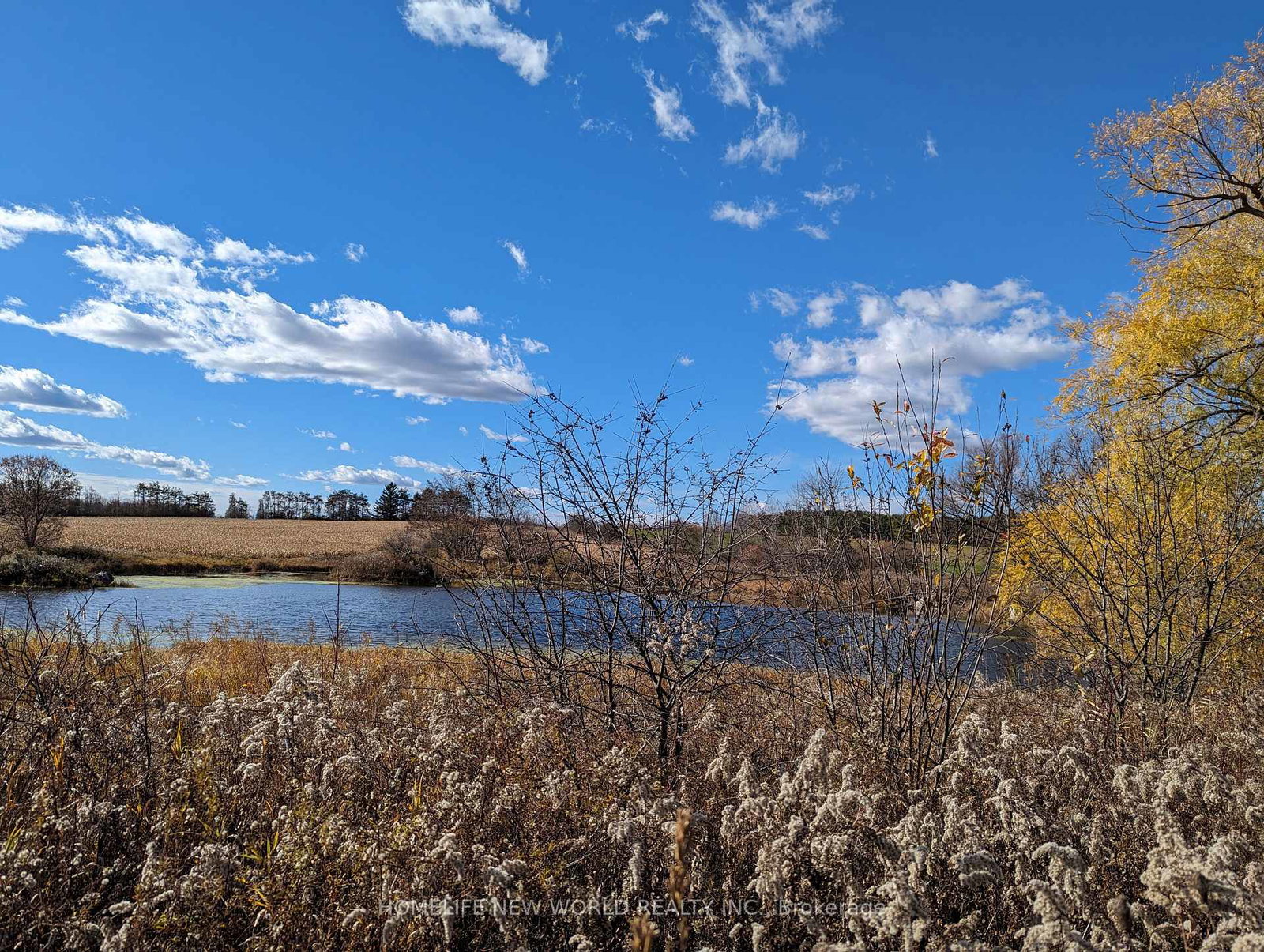 17268-warden-avenue-whitchurch-stouffville-ontario-n12494516
