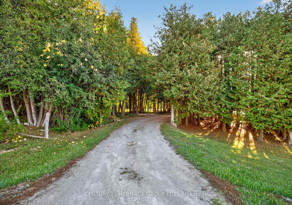 7-margaret-avenue-adjala-tosorontio-ontario-n12495406