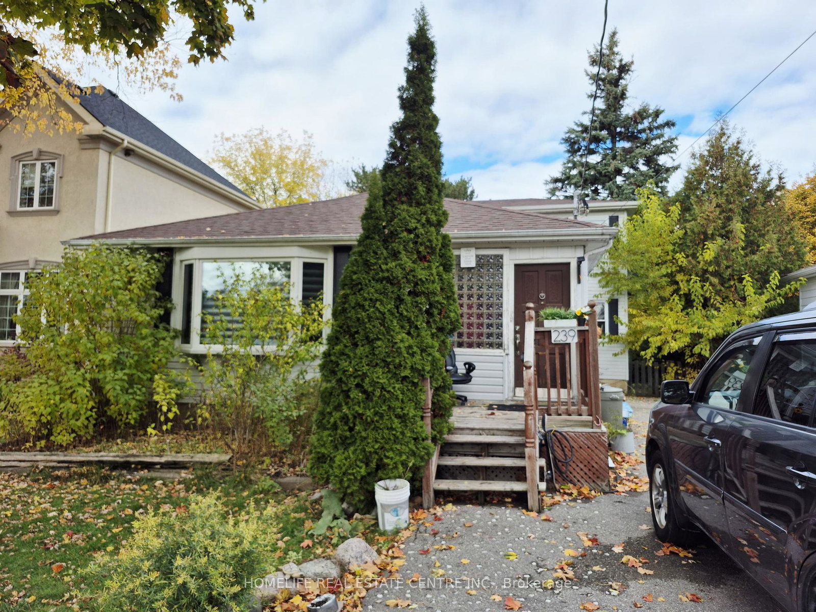 239-elmwood-avenue-richmond-hill-ontario-n12499220