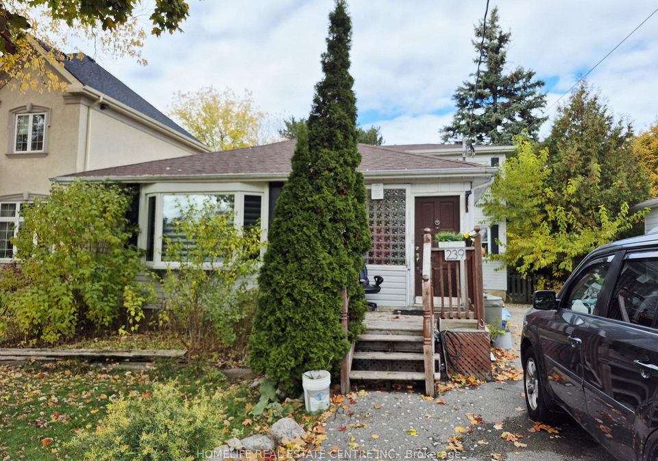 239-elmwood-avenue-richmond-hill-ontario-n12499220