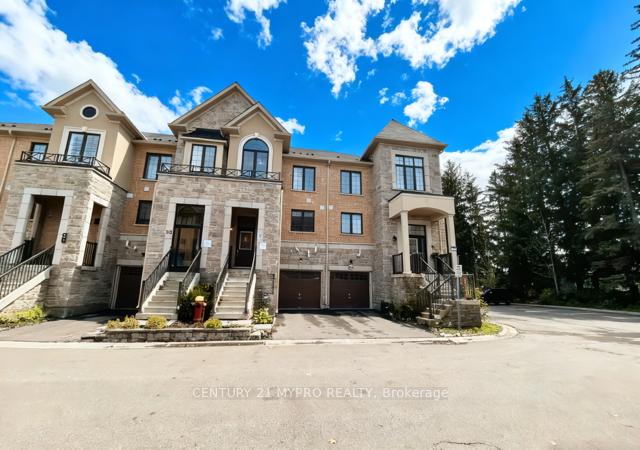 55-milbourne-lane-richmond-hill-ontario-n12501022