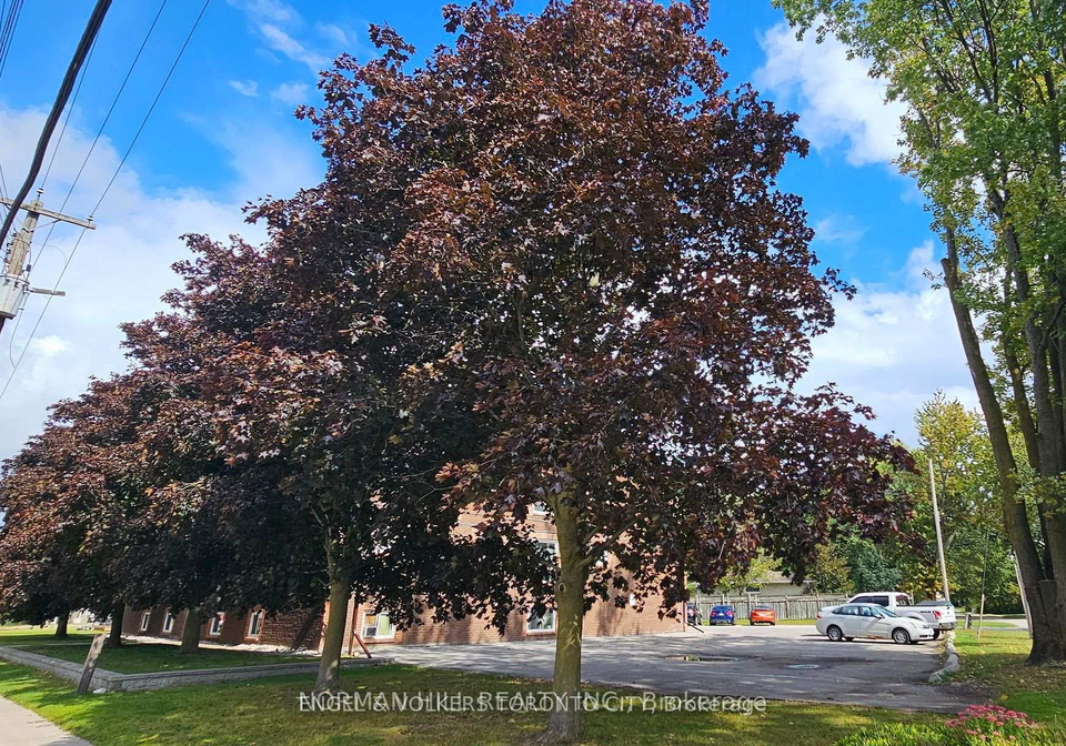 86-curtis-street-essa-ontario-n12523286