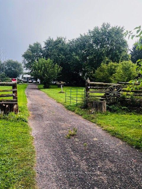 6429-3rd-line-new-tecumseth-ontario-n12524646